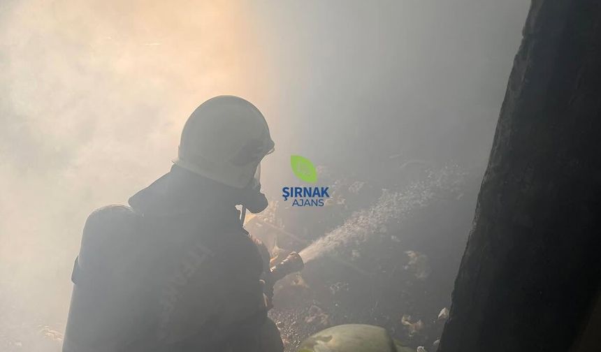 Cizre'de Korkutan Ev Yangını, Konutta Hasar Oluştu