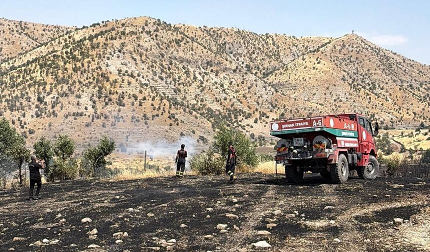 Şırnak'ta örtü yangını ekipleri alarma geçirdi