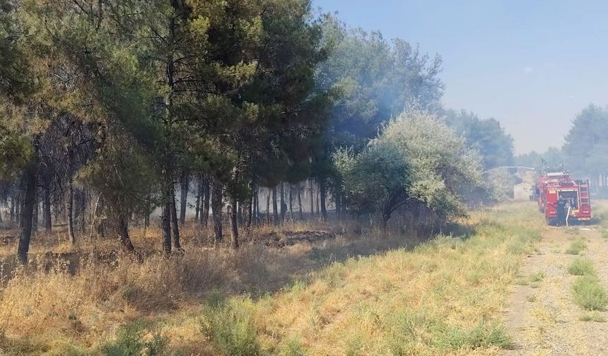Dicle Üniversitesi yerleşkesinde yangın