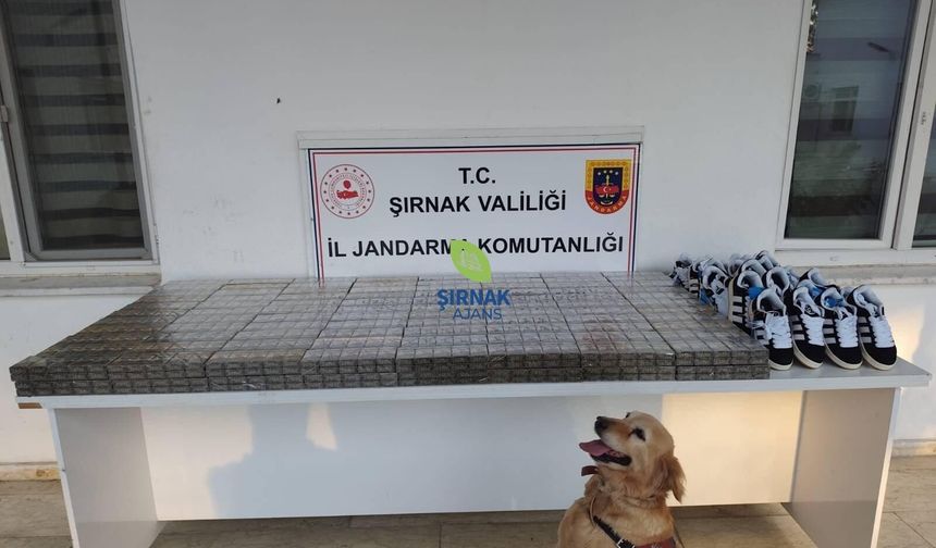 Şırnak'ta 9,2 milyon liralık kaçakçılık operasyonu