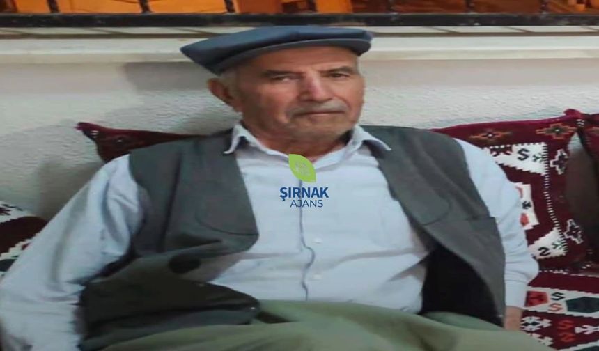 Şırnak’ta bir çınar daha devrildi
