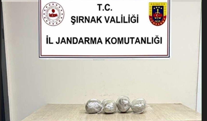 Şırnak'ta 6 Düzensiz Göçmen Yakalandı