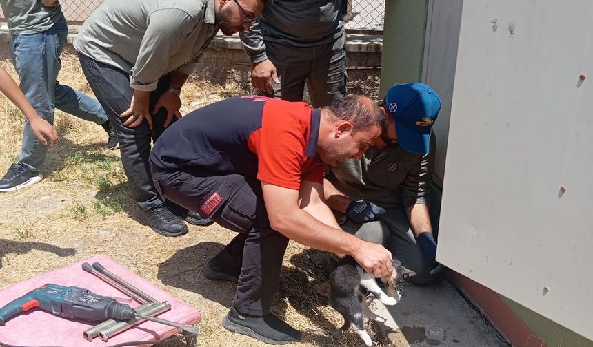 Başı sıkışan kedi itfaiye ekiplerince kurtarıldı