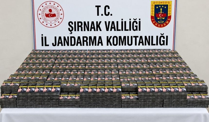 Şırnak'ta Dev Kaçakçılık Operasyonu, 51 Şüpheliye İşlem