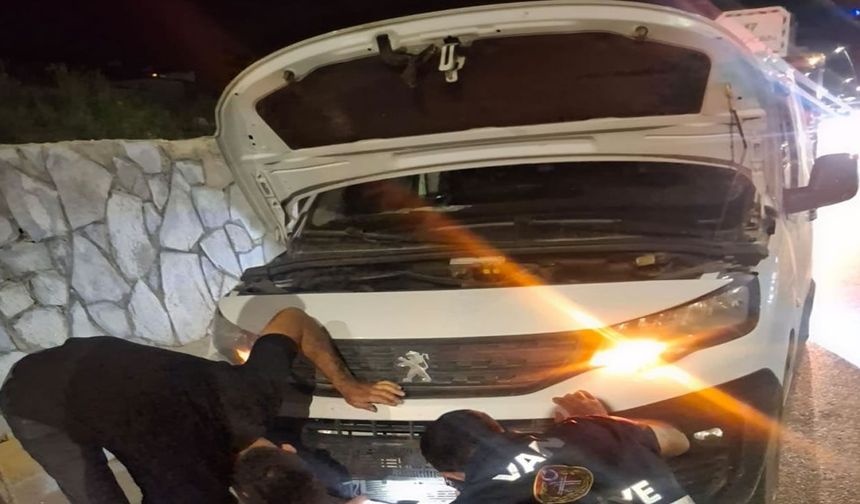 Kamyonetin çarptığı köpek kurtarıldı