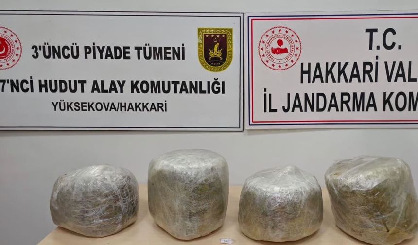 Yüksekova'da 11 kilo skunk ele geçirildi
