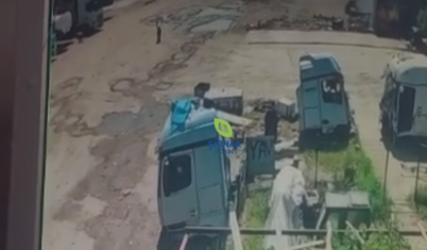 Silopi’de Aynı Yerde İkinci Köpek Saldırısı