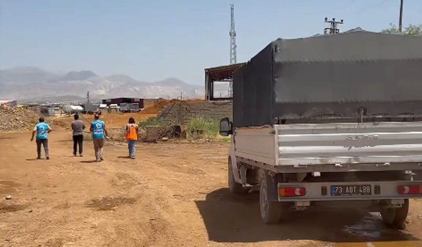 Silopi'de Köpek Saldırıları Sonrası Harekete Geçildi
