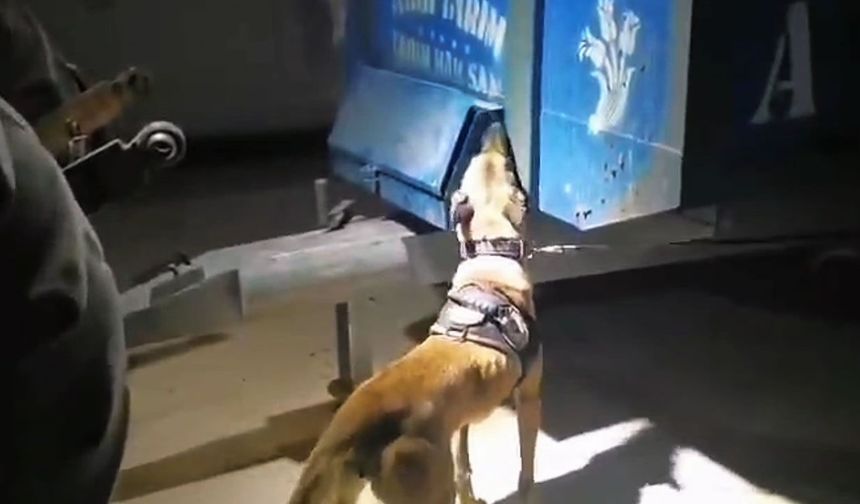 Traktörün kasasından uyarıcı madde çıktı
