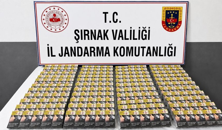 Şırnak'ta JASAT'tan Operasyon, 39 Firari Yakalandı