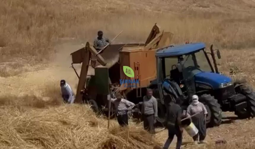 Silopi'de Köyler Yeniden Canlanıyor