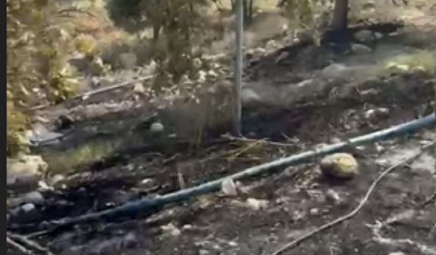 Şırnak'ta Anız Yangını, 3 İtfaiye Ekibi Birden Müdahale Etti