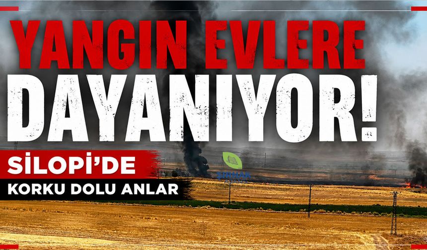 Yangın evlere dayanıyor! Silopi’de korku dolu anlar