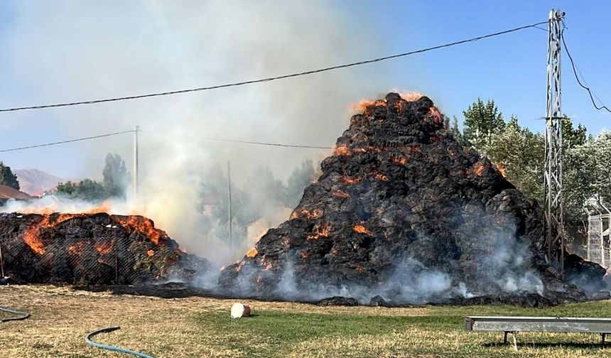 Yüksekova’da 6 bin 500 bağ ot kül oldu