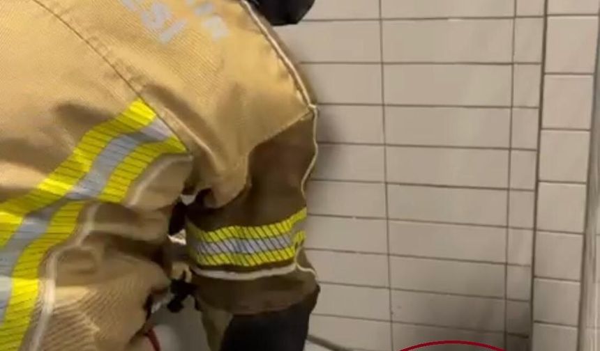 Petrol istasyonunda 2,5 metre uzunluğunda yılan yakalandı