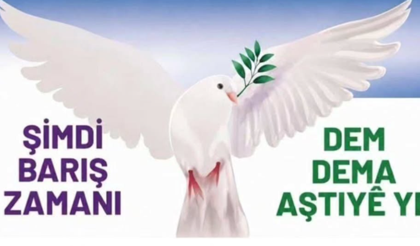 Şırnak’ta 1 Eylül Dünya Barış Günü çağrısı