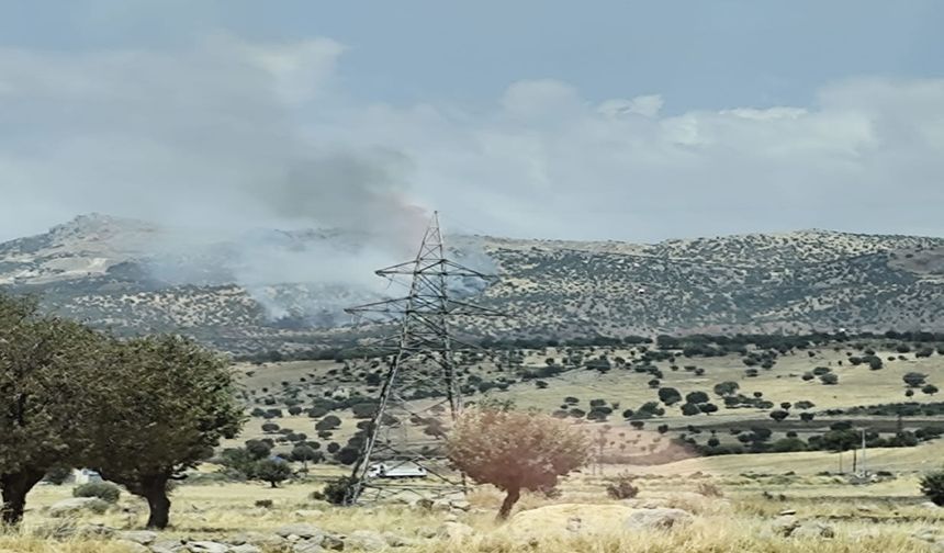 Şırnak'ta Yangın Alarmı! Alevler Hızla Yayıldı