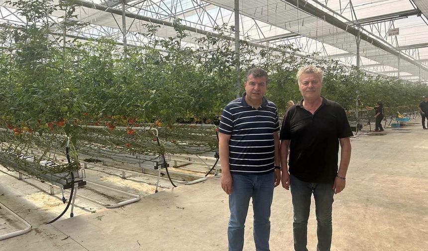Şırnak TSO’dan Silopi Sera için Çaycuma’da stratejik inceleme