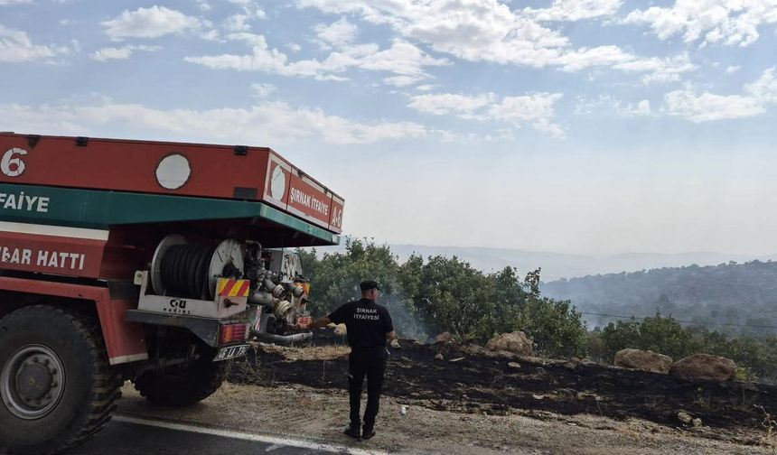 İtfaiye ekipleri üç bölgede alevler büyümeden söndürdü