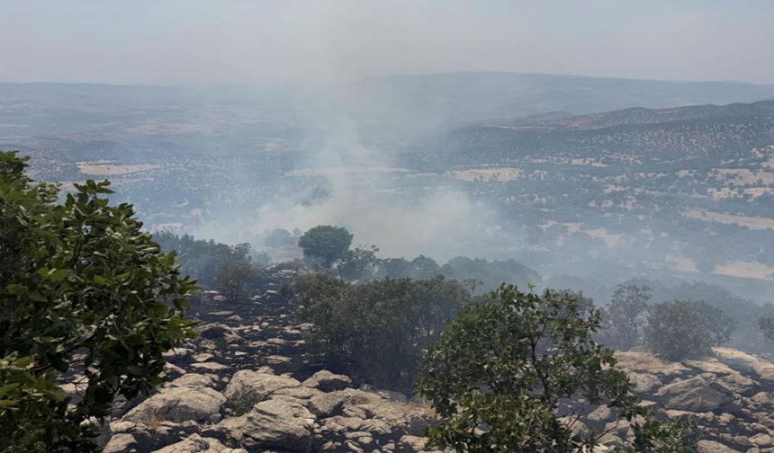 Şırnak'ta Korkutan Yangın Kontrol Altına Alındı