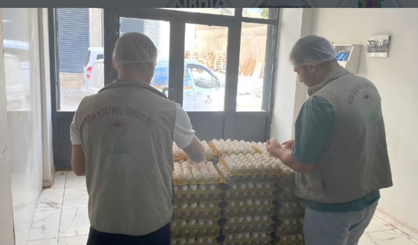 Cizre’de Damgasız Yumurtalar İmha Edildi