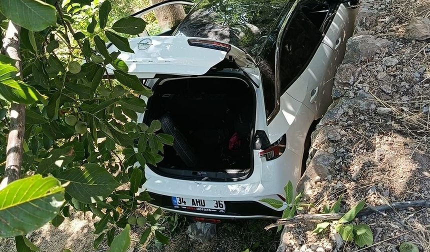 Otomobil bahçeye uçtu, 8 kişi yaralandı