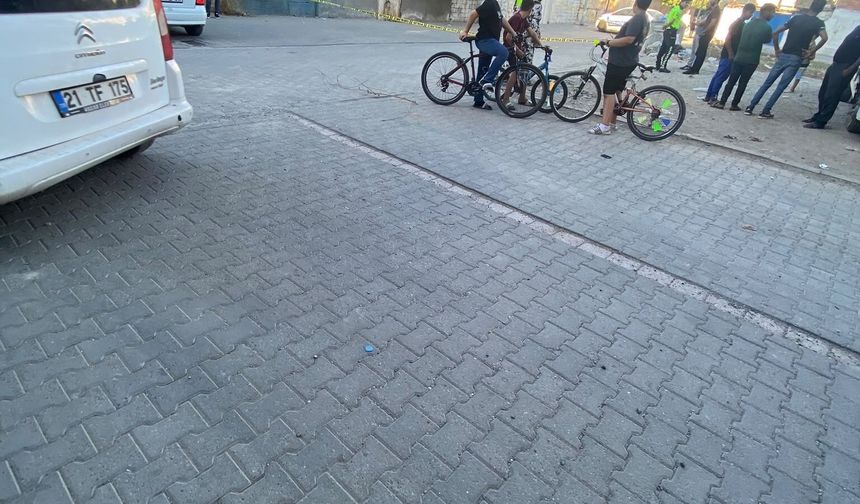 Pikabın çarptığı 6 yaşındaki çocuk hayatını kaybetti