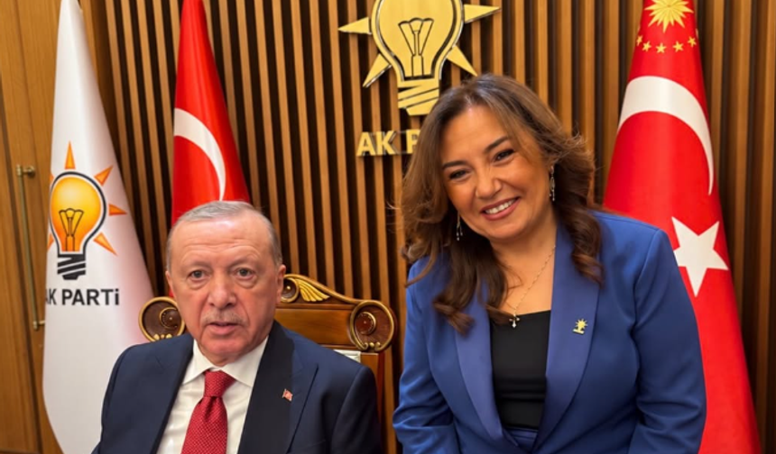 Cumhurbaşkanı Erdoğan, İdil Belediye Başkanı Kayır ile görüştü
