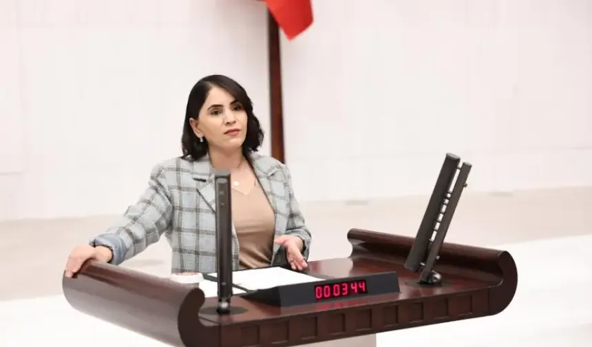Şırnak Milletvekili Aslan'dan Orman Sınırları Tepkisi