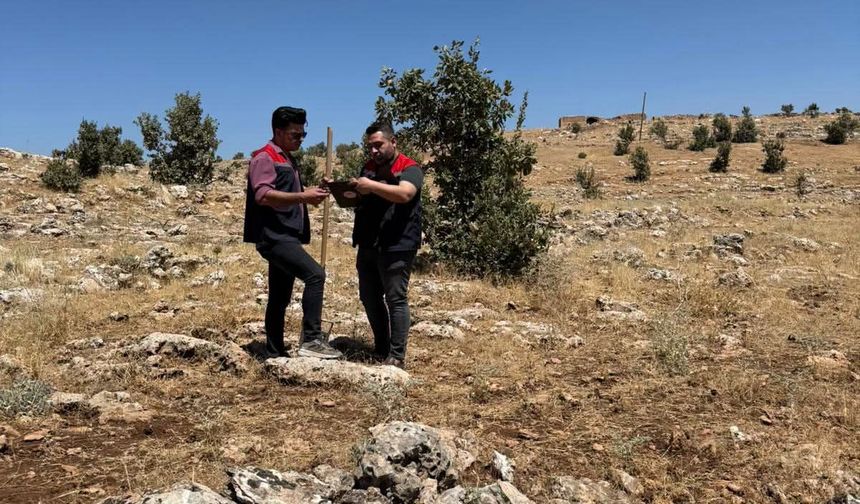 Şırnak’ta büyükbaş hayvancılık yatırımları için arazi etüdü