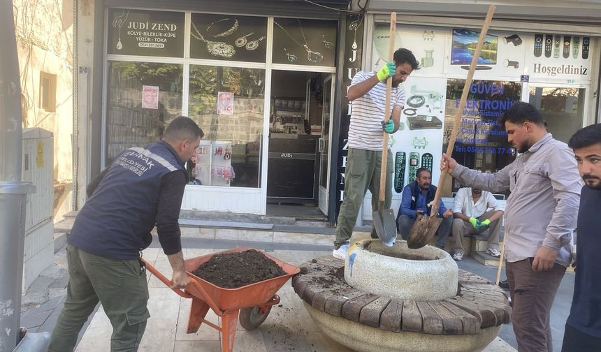 Şırnak’ta sokaklar yeşillendiriliyor