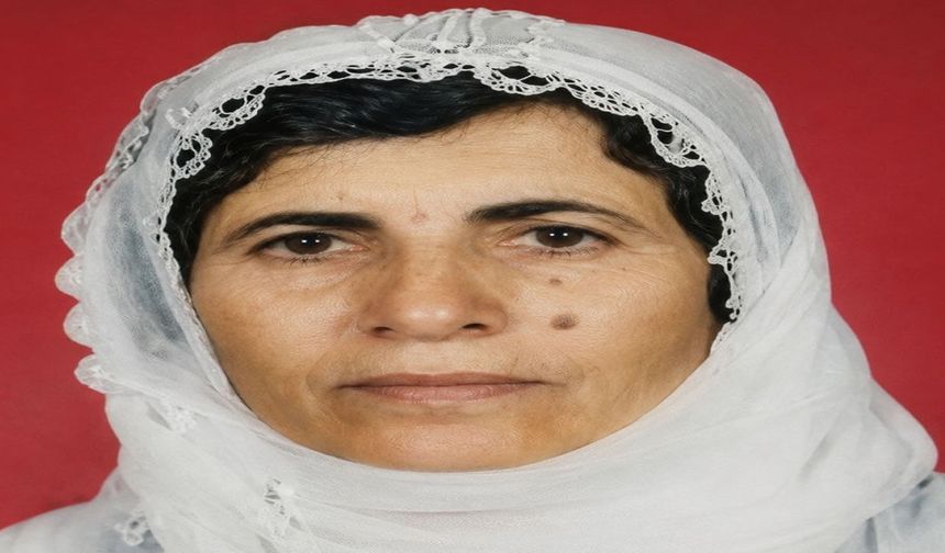Maskeli kişilerin saldırısına uğrayan yaşlı kadın ağır yaralandı