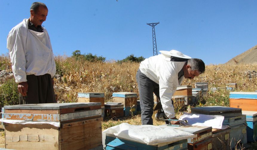Şırnak’ın Dağlarında 15 Yıllık Emek Bala Dönüşüyor