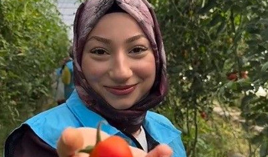 Öğrenciler sera ziyaretinde hasada katıldı