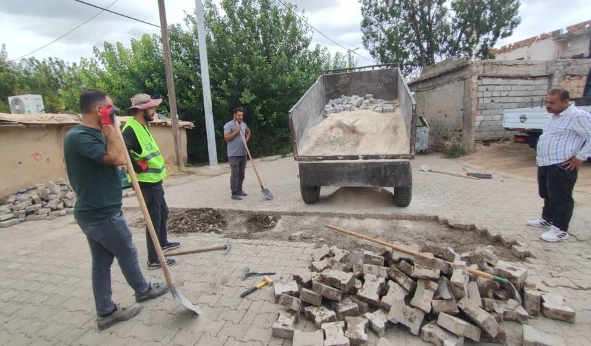 Başverimli’de Çifte Müdahale Su Arızası Giderildi, Yol Yenilendi!