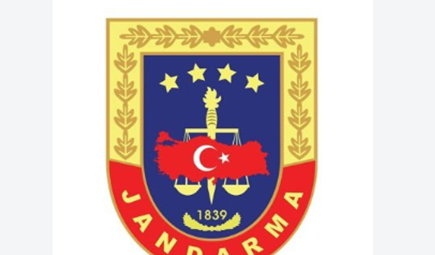 Cizre’de jandarmanın yol kontrolünde dikkat çeken sonuç