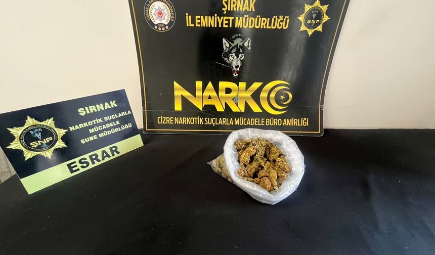 Şırnak’ta bir haftada 60 aranan şahıs yakalandı