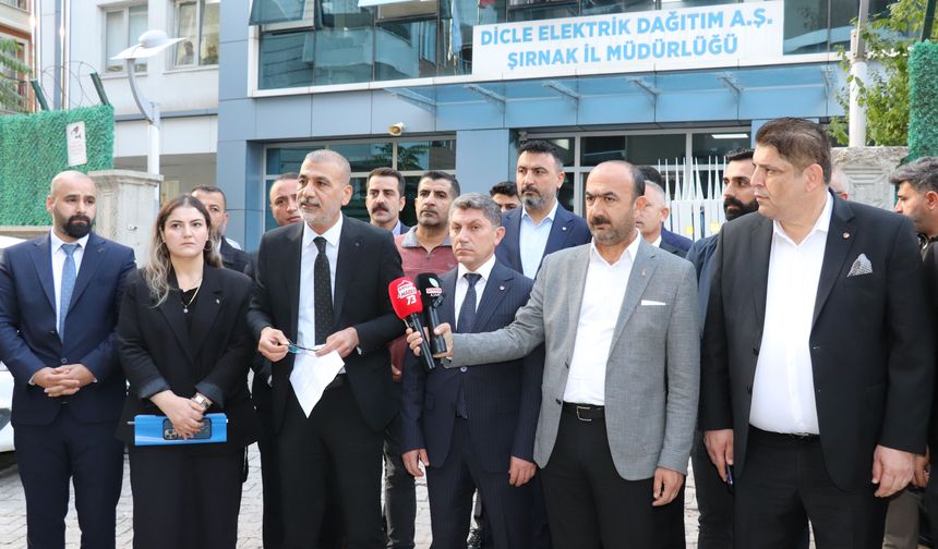 Şırnak’ta STK’lardan DEDAŞ Önünde Ortak Ses; Bu Mağduriyet Giderilsin