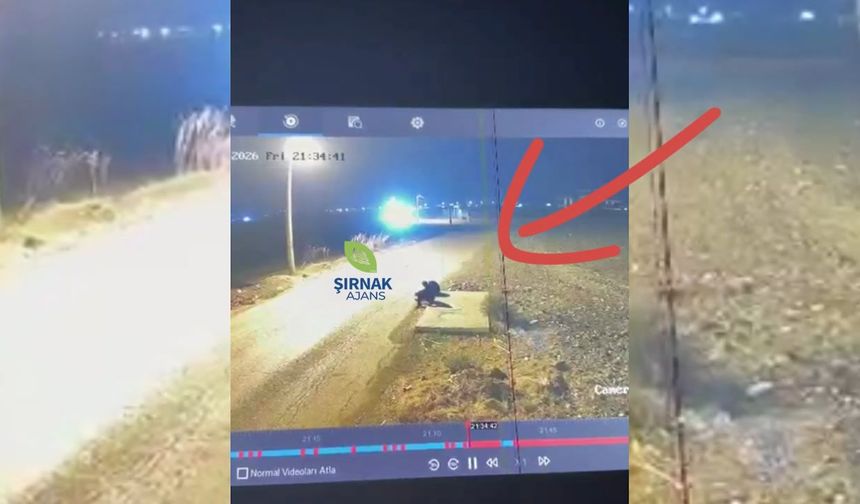 Silopi’de otomobil yol kenarında oturan çocuklara çarptı