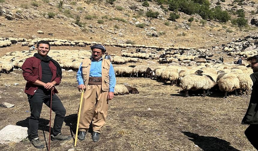 Şırnak’ta dağlardan ovalara mevsim göçü başladı