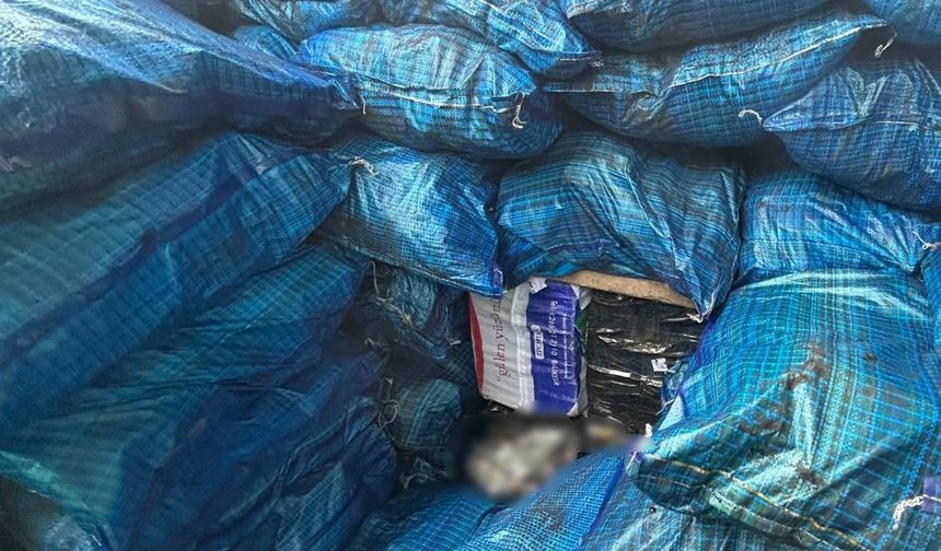 Kömür çuvallarının arasına gizlenmiş 10 bin 250 paket kaçak sigara ele geçirildi