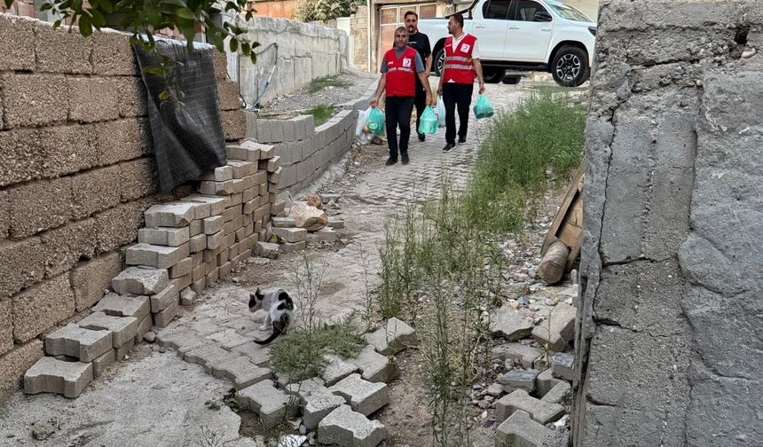 Kızılay gönüllüleri Silopi’de kapı kapı dolaşıyor