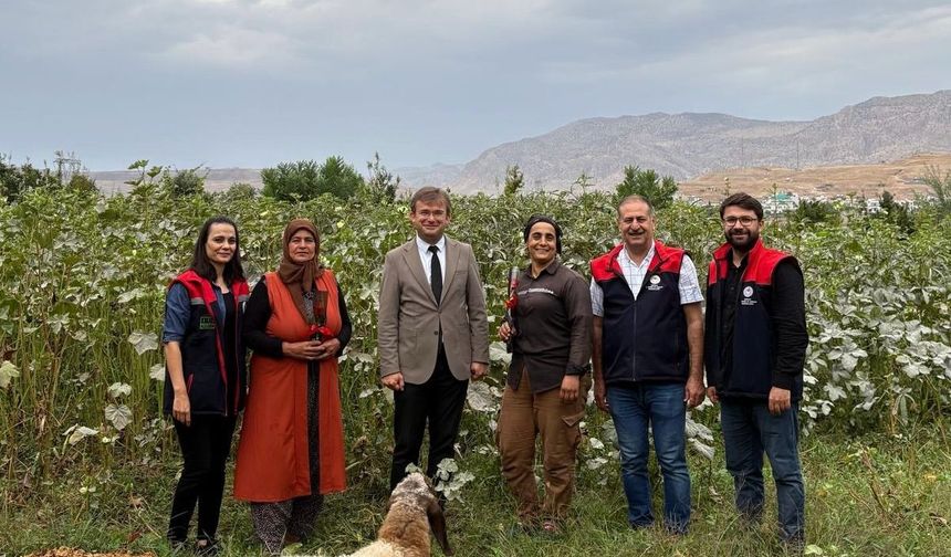 Cizre’de kadın çiftçilerin emeğine dikkat çekildi