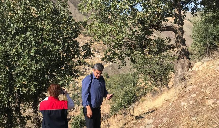 Şırnak’ta Mera Alanları İçin Tespit Çalışması Yapıldı