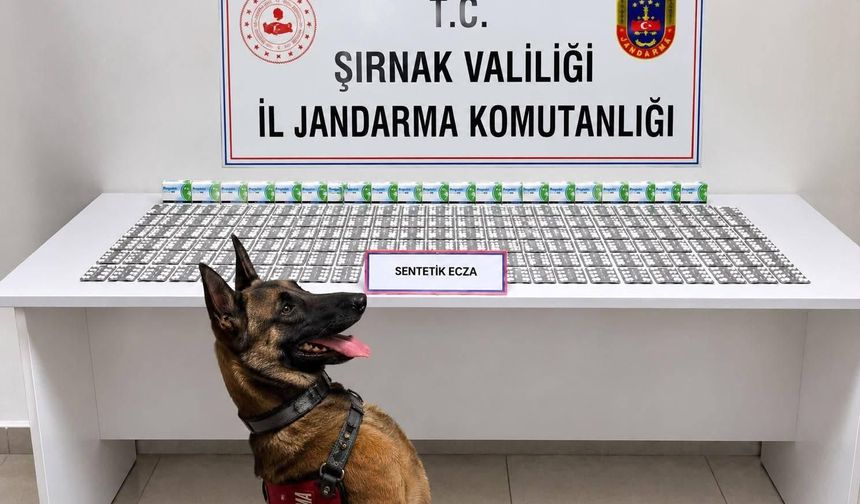 Şırnak’ta Aranan 49 Kişiden 12’si Tutuklandı