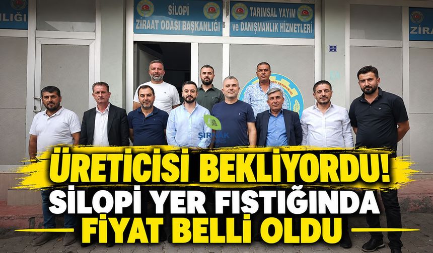 Üreticisi bekliyordu! Silopi yer fıstığında fiyat belli oldu