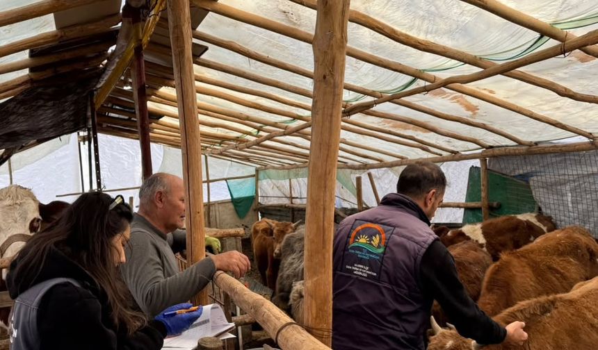 Uludere’de Salgın Hastalıklara Karşı Önlem