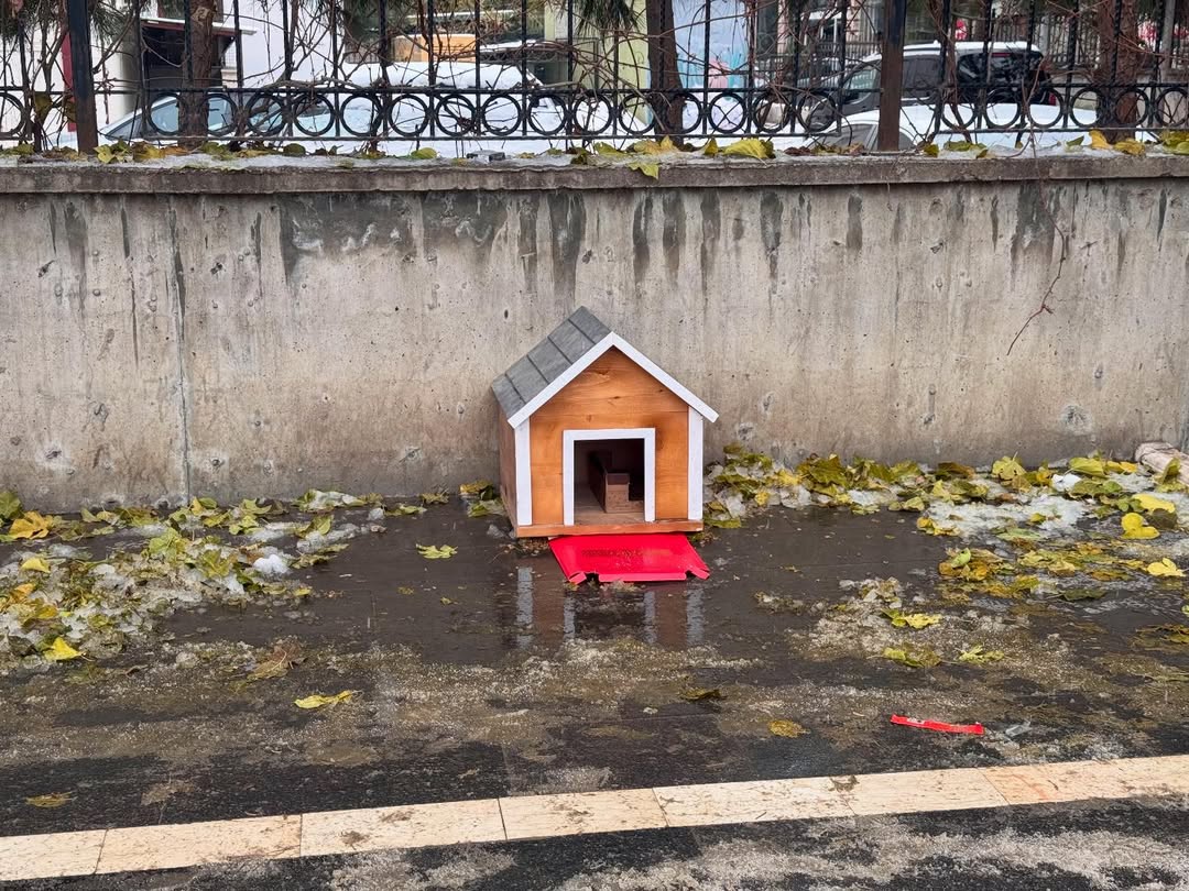 608351649 18418609903140692 2096544164933995084 N