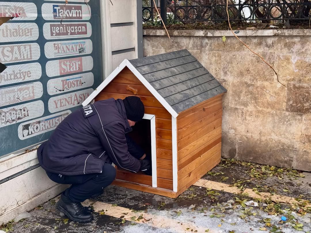 608422816 18418609933140692 2922098982135690285 N