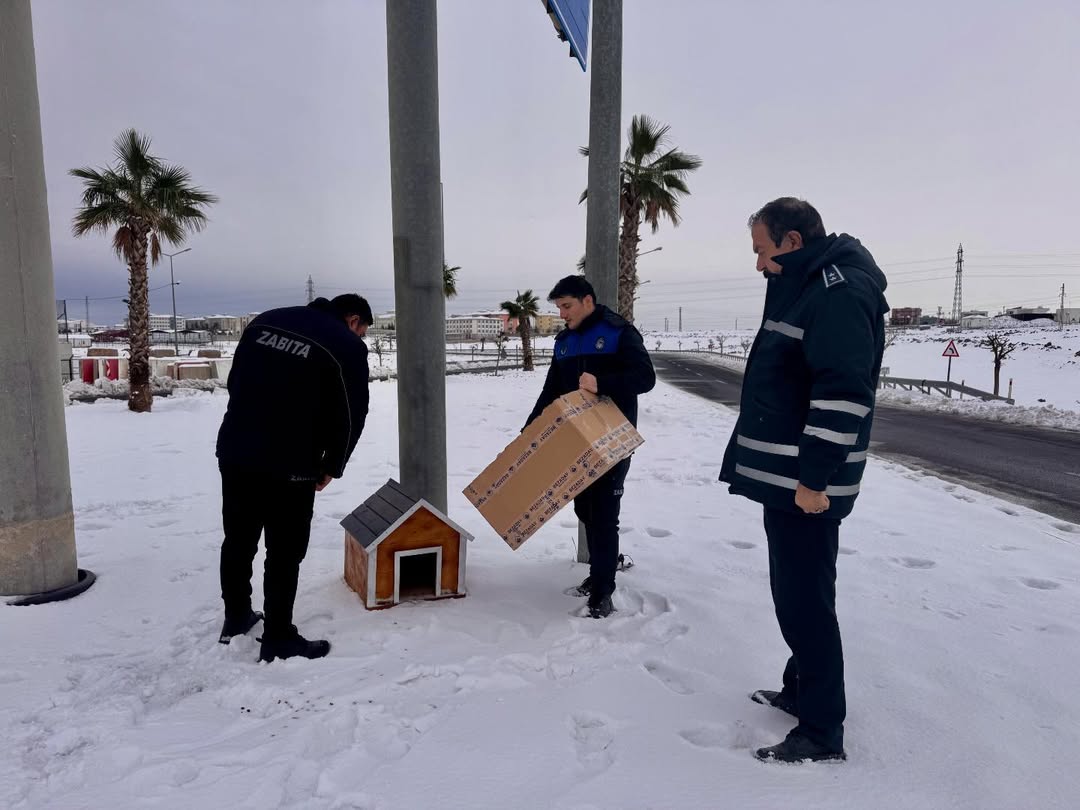 608687846 18418609975140692 1894938675219421462 N